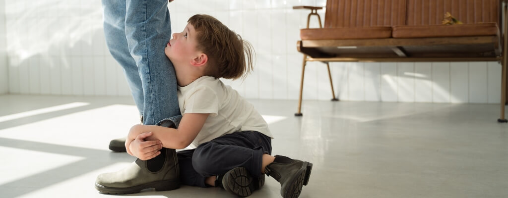 Origins and Development of Disorganized Attachment